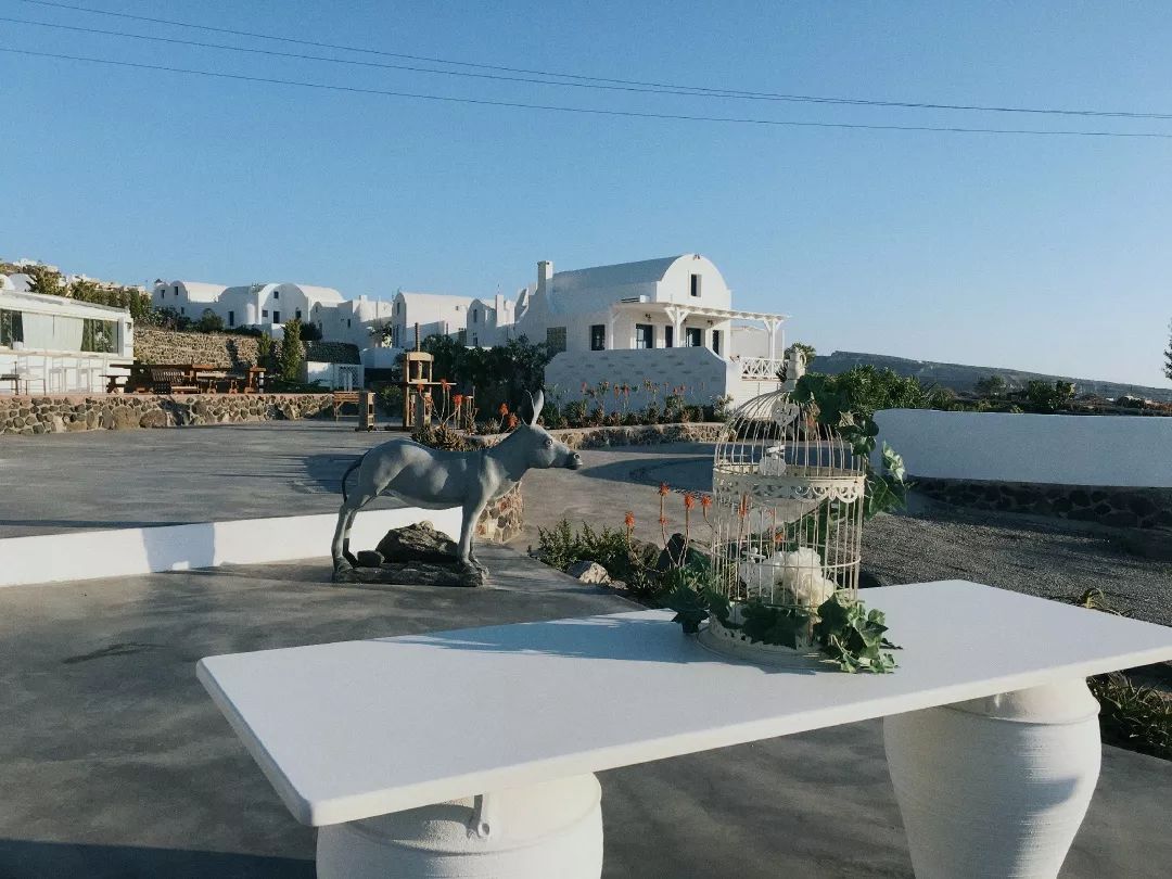 行走的耳朵原唱完整版,行走的耳朵小说