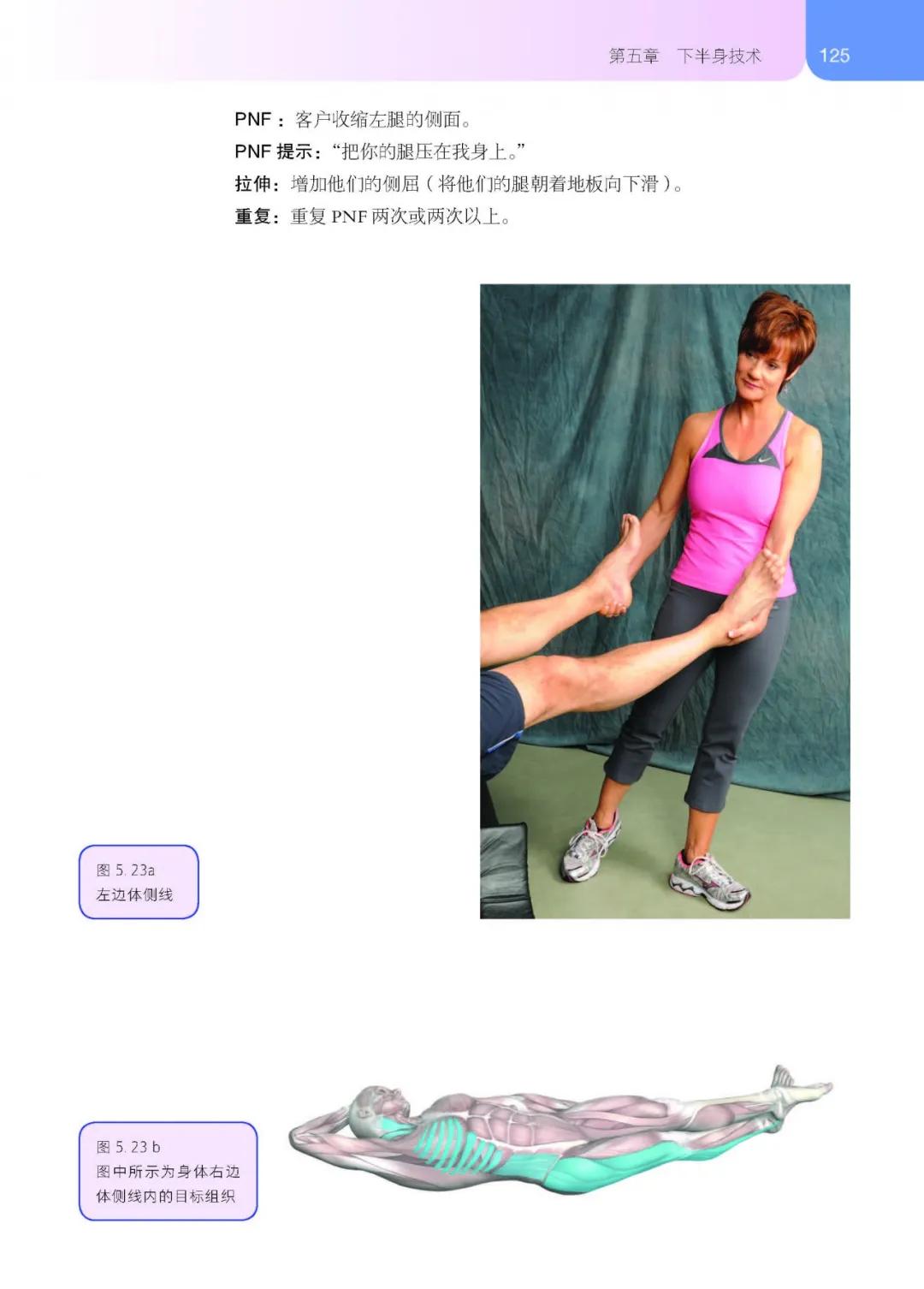 筋膜拉伸技术,筋膜和拉伸的区别