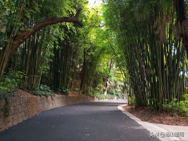云大校园翠湖视频,昆明翠湖云大游玩路线
