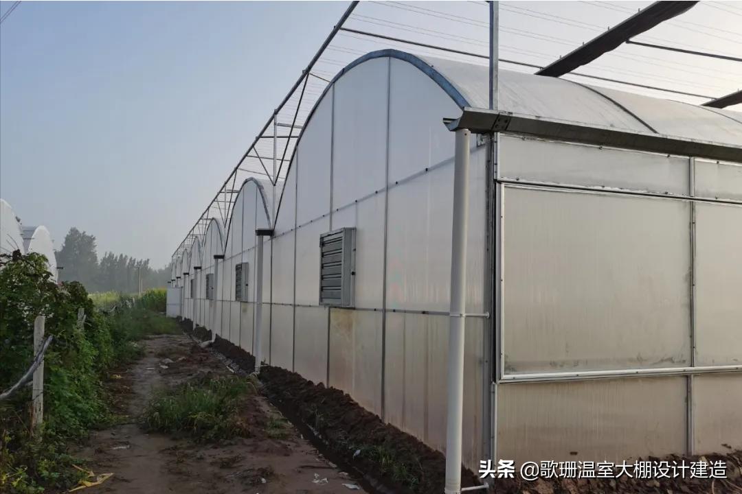 pc透明阳光板温室大棚,连栋阳光板温室大棚的建造