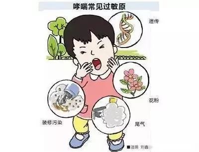 伤寒论经方治疗气喘,伤寒论治疗喘和咳的方子