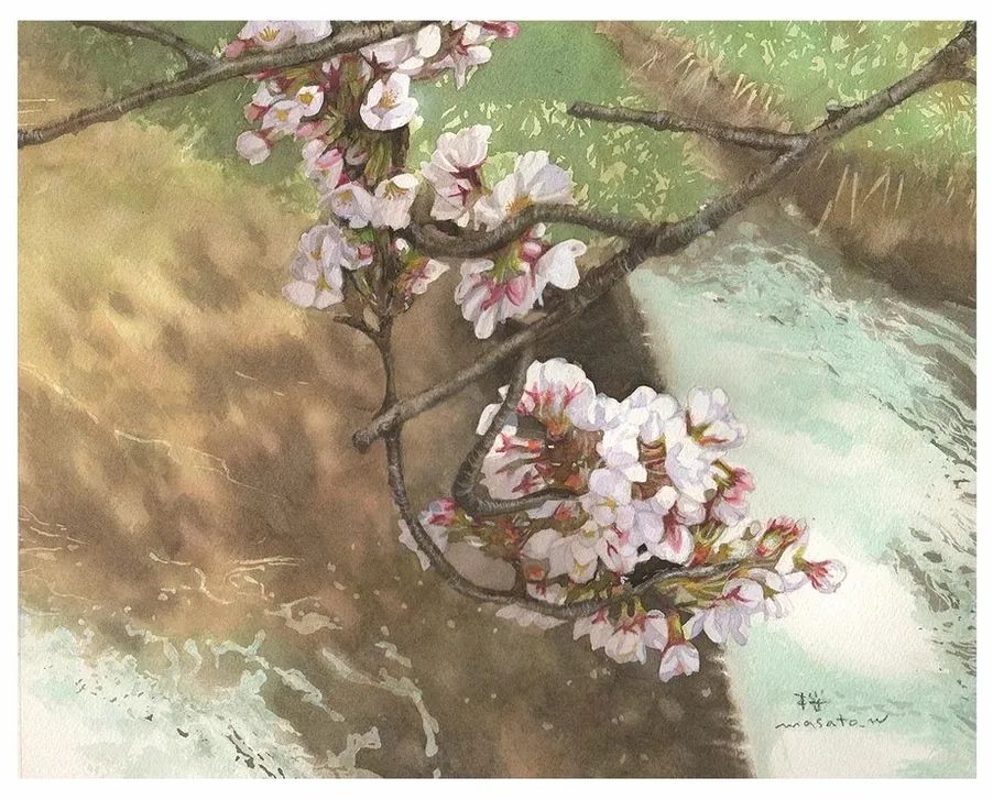 水彩大师笔下的花卉,简单唯美的水彩花卉