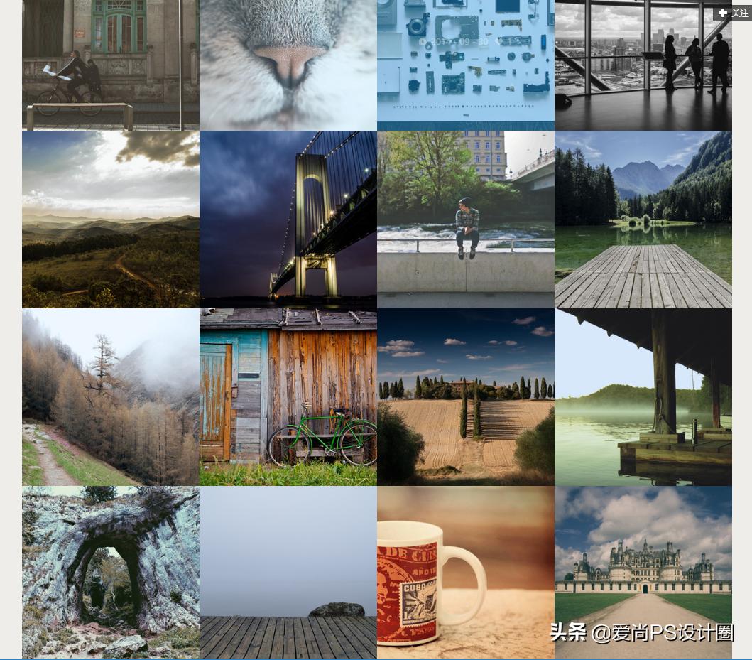 花瓣素材库大全免费,花瓣掉下来素材