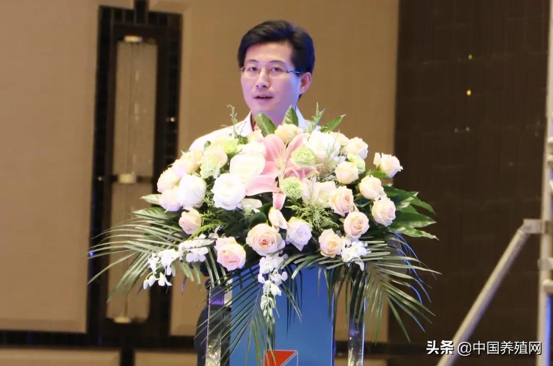 正邦各路英豪“南昌论猪”：誓言今年千亿，三年挺进世界五百强