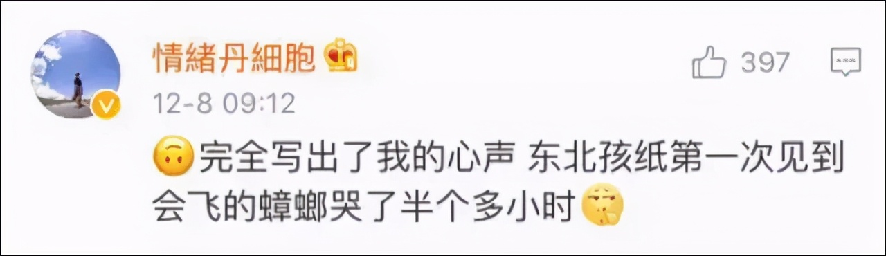 北方人第一次看到会飞的蟑螂反应,小时候会飞的蟑螂