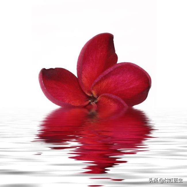 风雨夜来,风雨夜来花满楼