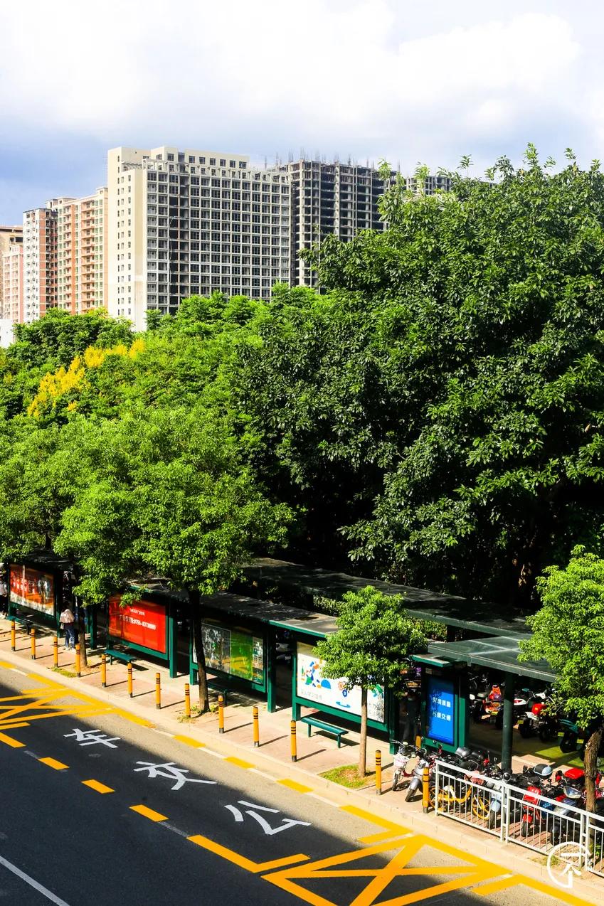 深圳“厂妹”村：租客月入4000，房租500