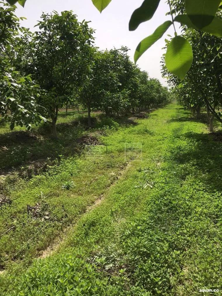 求职招聘大专附近工作阿克苏,阿克苏本地找工作58同城最新招聘