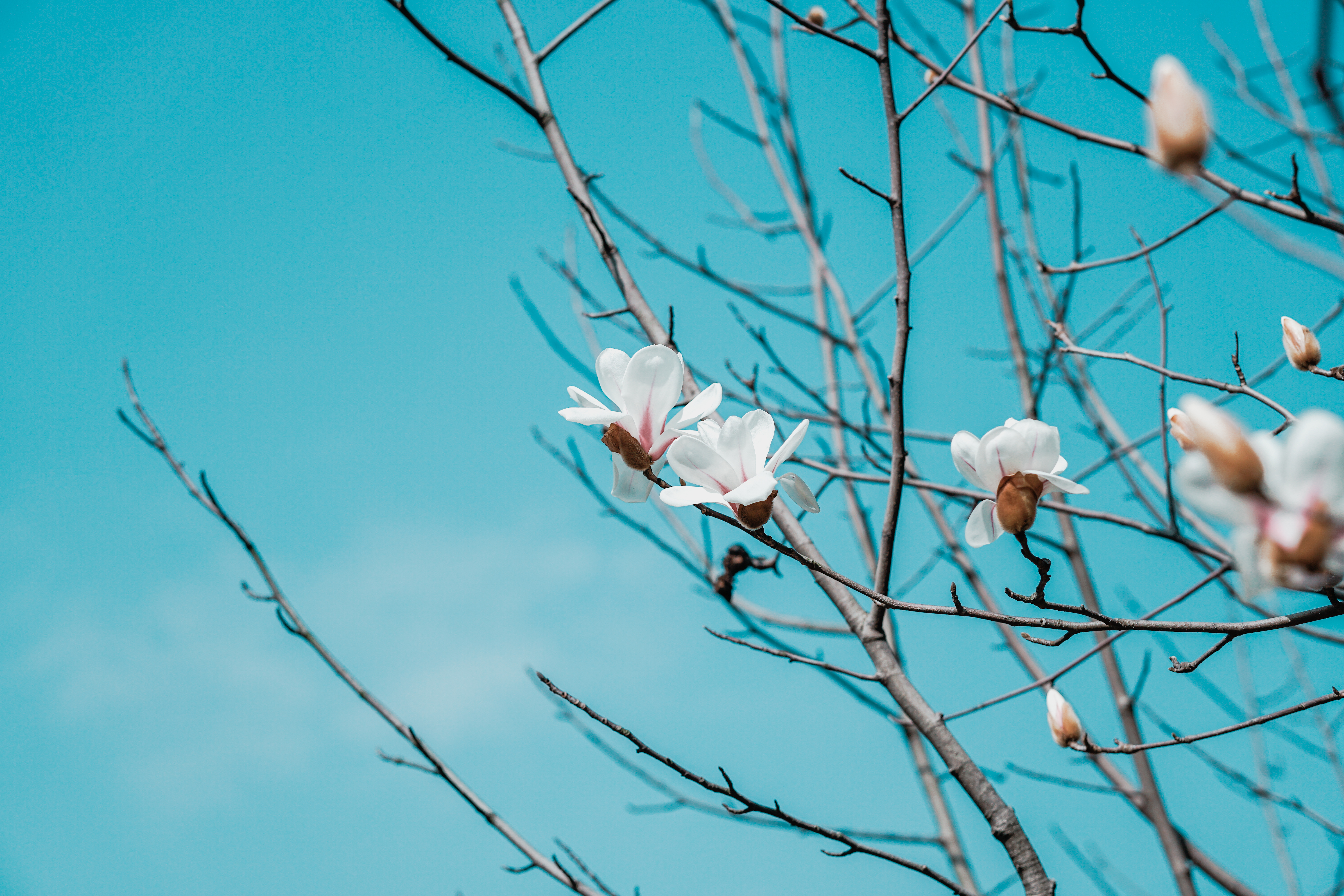 p图好用的手机app,苹果手机常用的app推荐