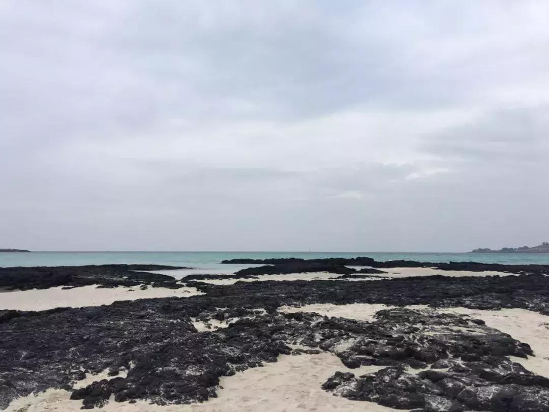 济州岛小清新旅游攻略,济州岛冬日街景