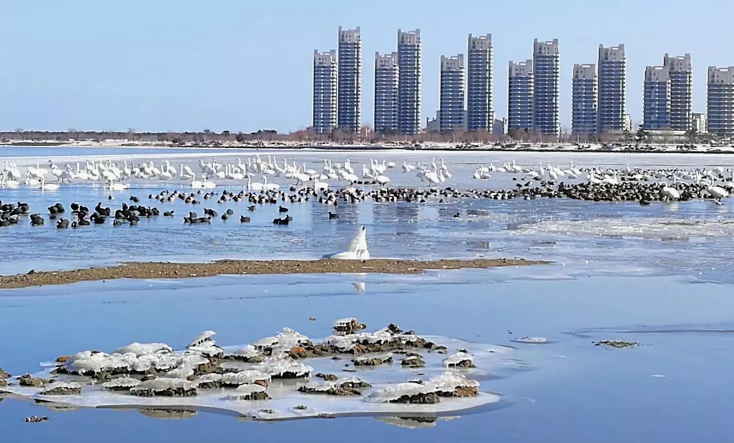山东荣成定居好不好,外地人荣成落户条件