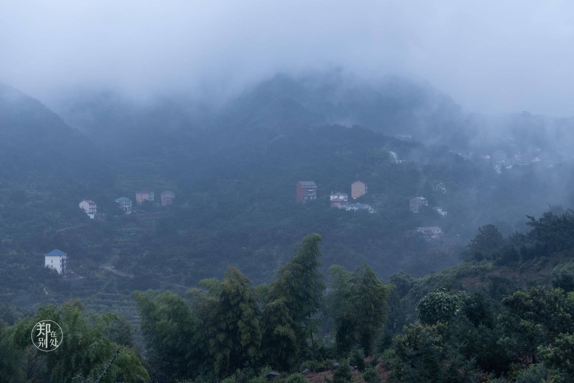 香榧古道,香榧古道徒步路线哪条景色美
