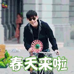 少林优惠,登封少林寺半价