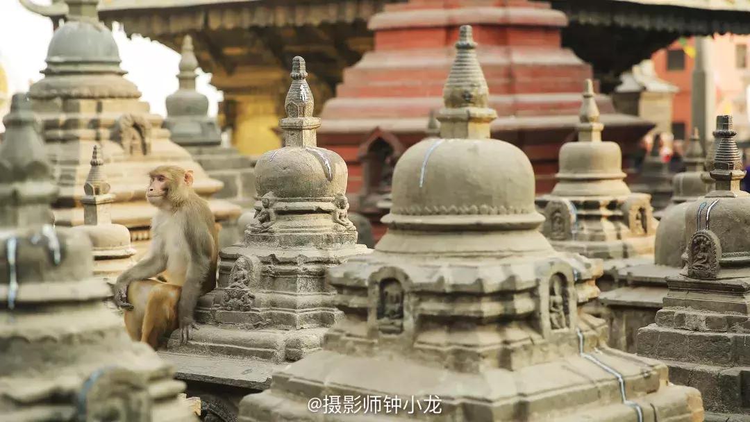 尼泊尔一次旅行要多少钱,尼泊尔旅游一年可以去几次