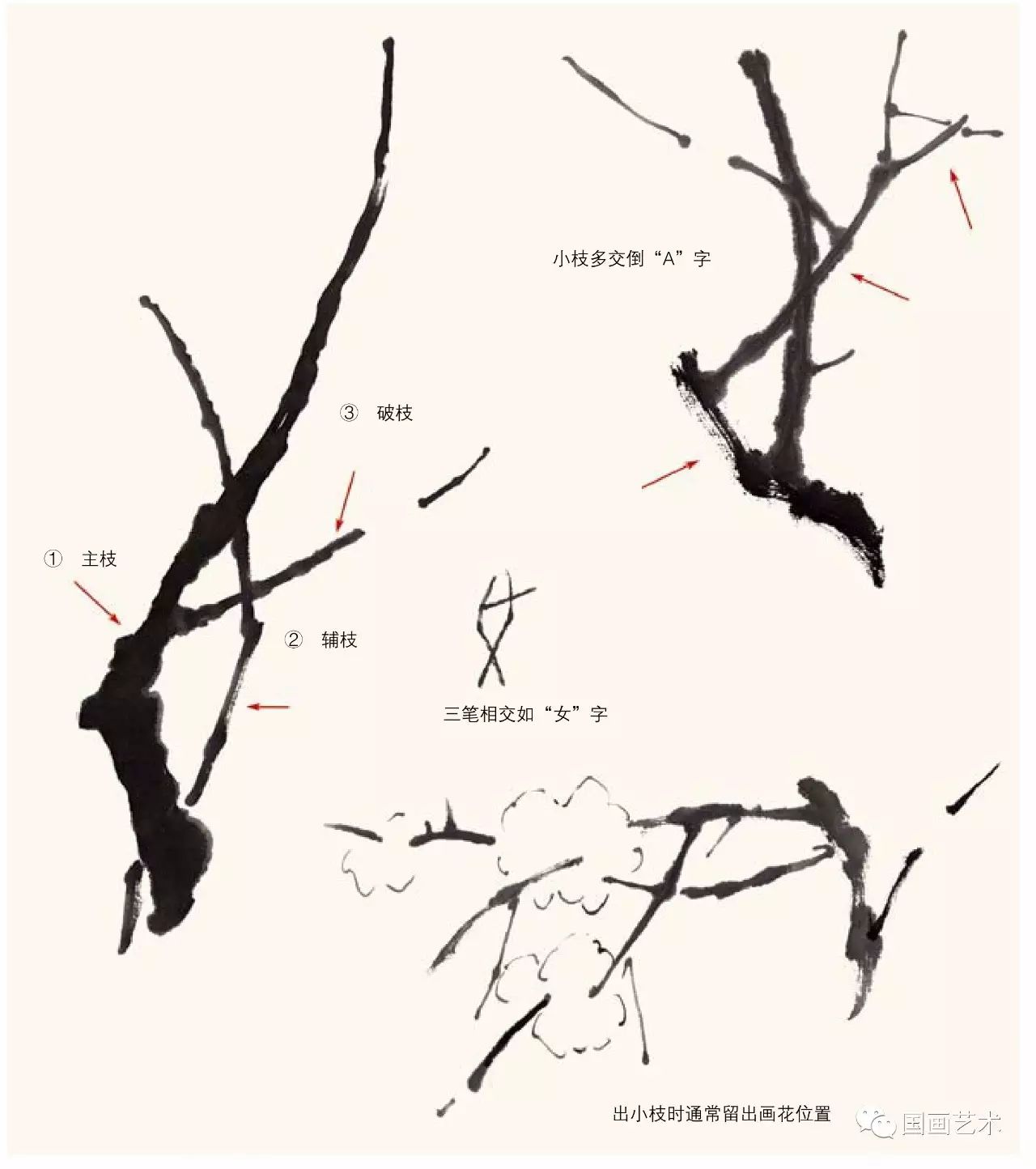 图文教程梅花,国画梅花的画法视频
