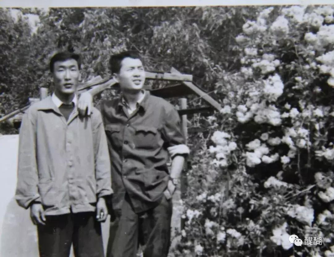 布达拉宫四集专题片,布达拉宫冬天视频原声