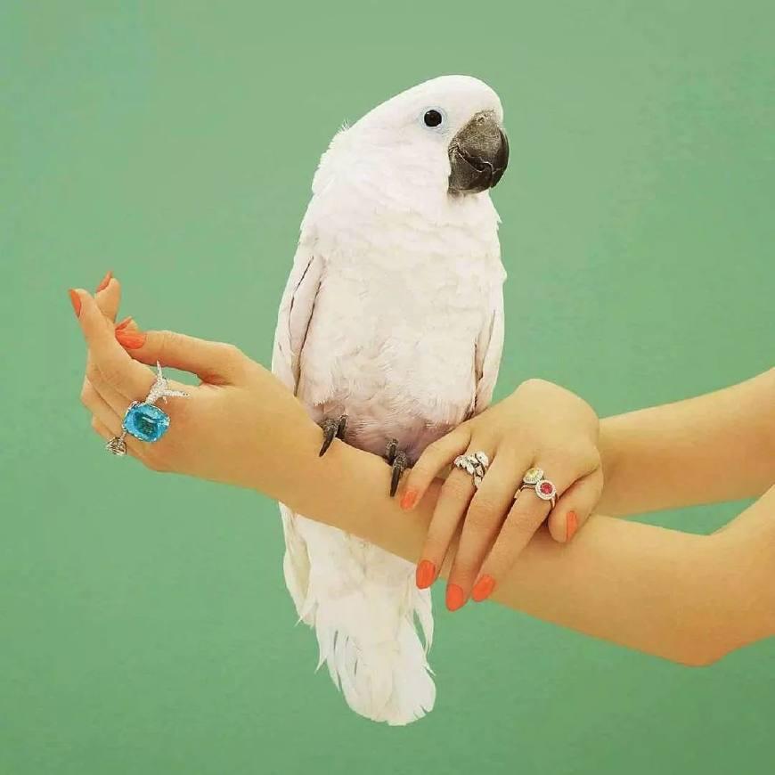 一个让人“开口跪”的混血超模