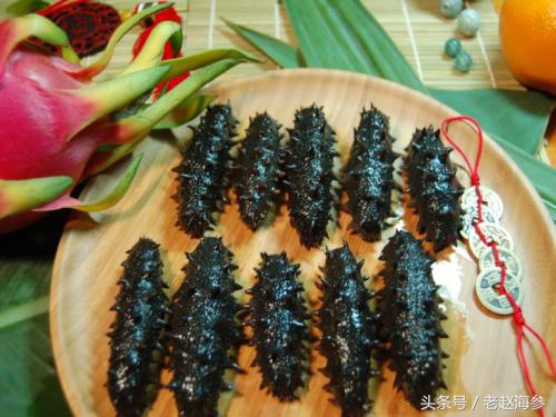 红极参和海参哪个营养好,海参怎么吃更有营养价值