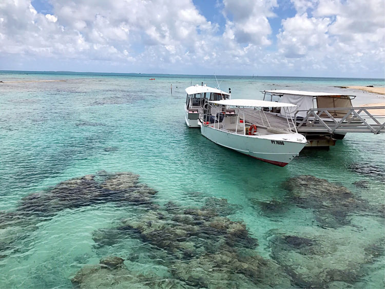 畅游粉红色的梦幻仙境·提克豪岛