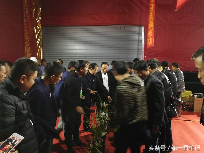 2018年昆明兰花展精品图片,云南兰花展作品欣赏