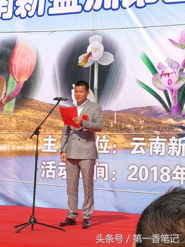 2020年云南兰花展获奖图片,2018年昆明兰花展精品图片