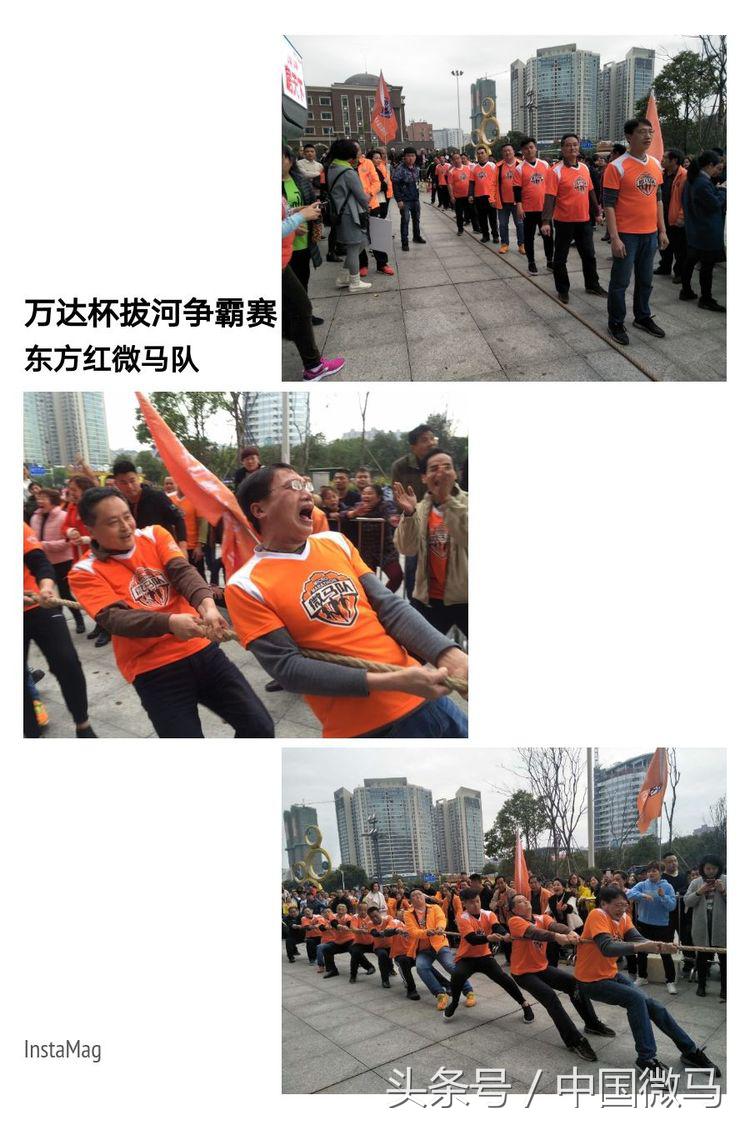 东方红微马队,东方红拔河比赛