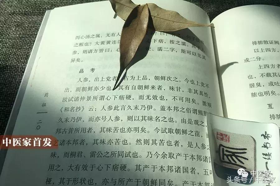 日本汉方岱岳与魔鬼