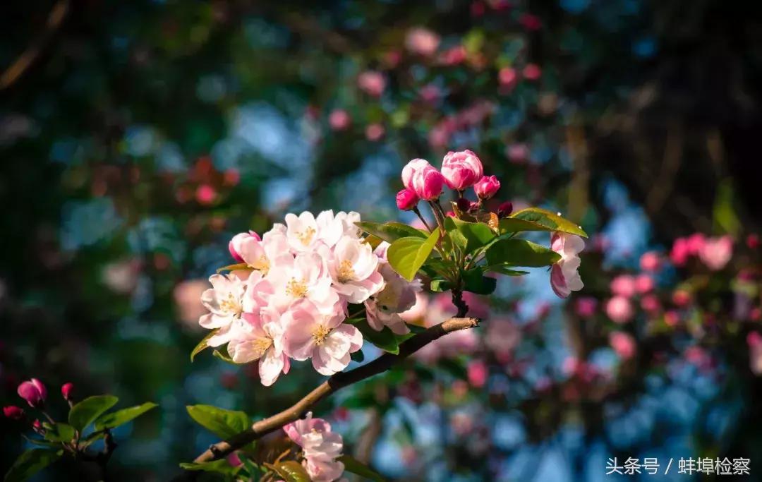 中国文化常识语文学霸必备,考文史常识