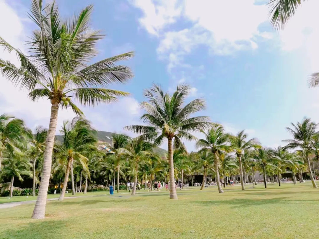 越南芽庄旅行感悟,越南芽庄旅行的感觉