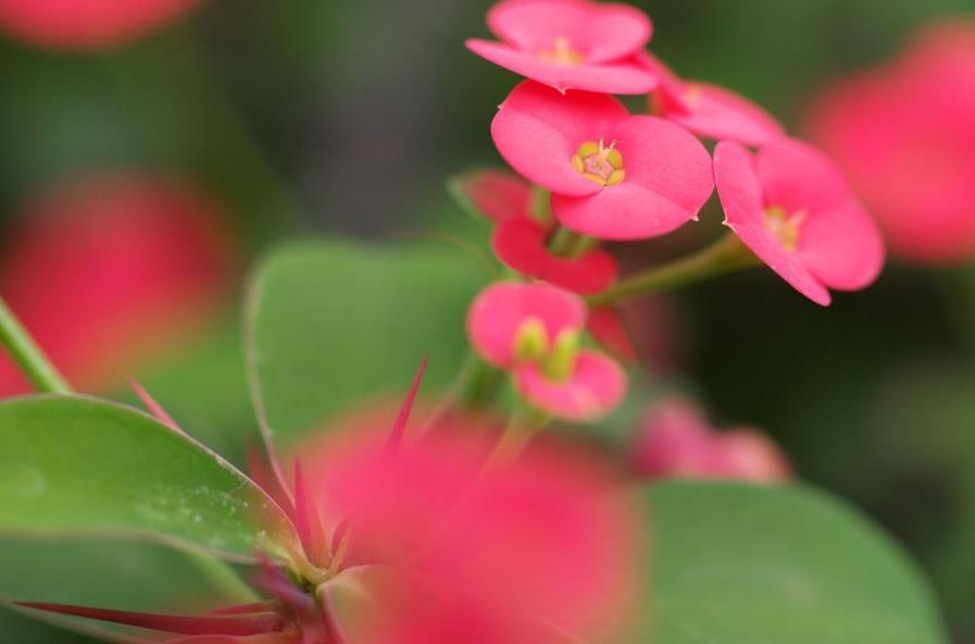 让生活过得活色生香,让你的生活香起来