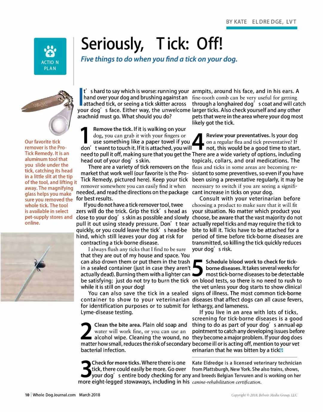 狗狗身上有虱子并有疙瘩怎么处理,狗狗身上有虱子的治疗方法