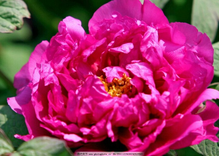 今天29，打开就能幸福久久！幸福相册！请收下给你的祝福哦