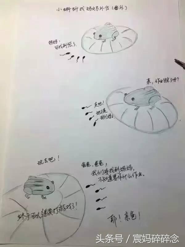 教孩子写作业亲妈秒变后妈,教写作业亲妈变后妈