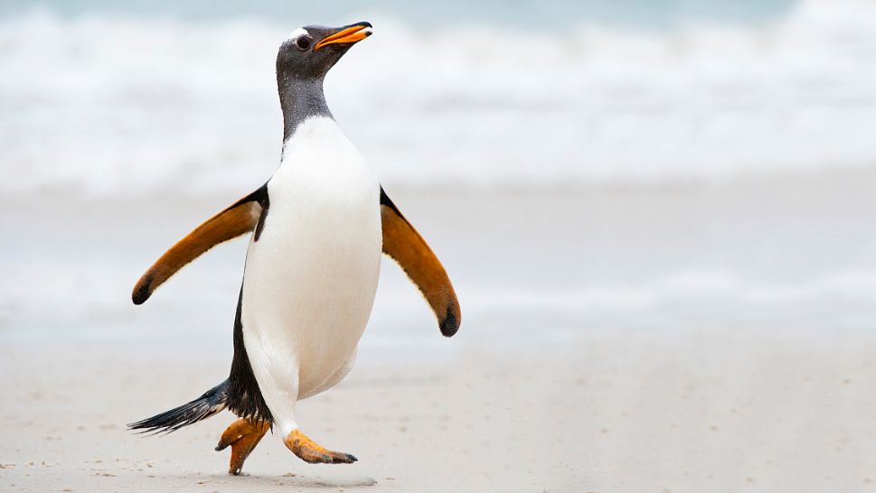 宇宙第一区深圳南山区房价,宇宙第一城