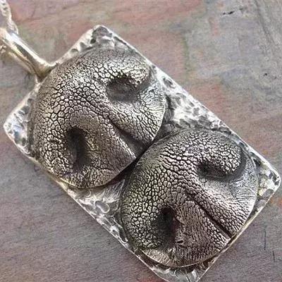 因为太爱狗鼻子，这帮老外搞了个“拜黑鼻头”神教！