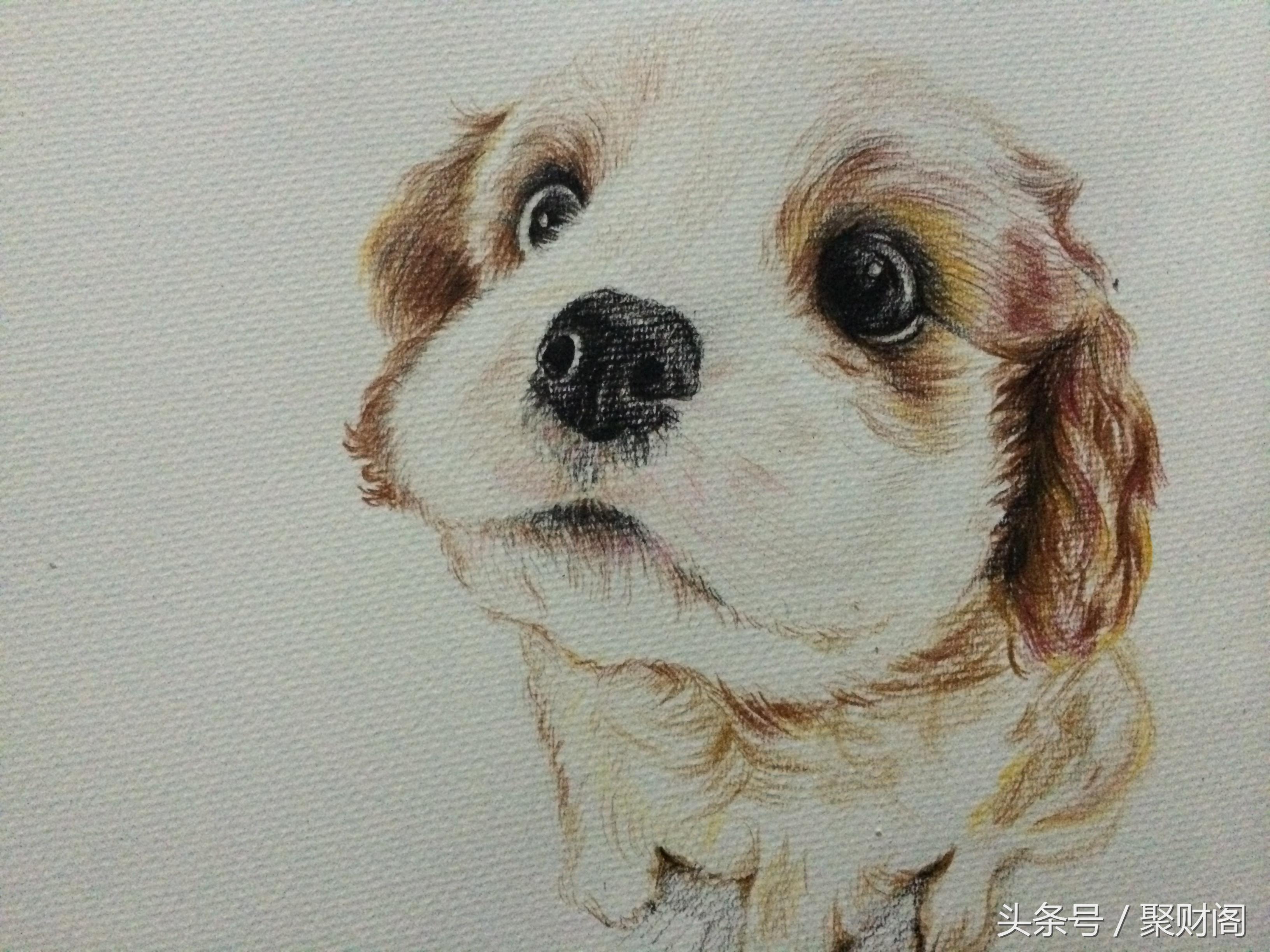 2018属狗人每月运势,属狗的人2018每月运势