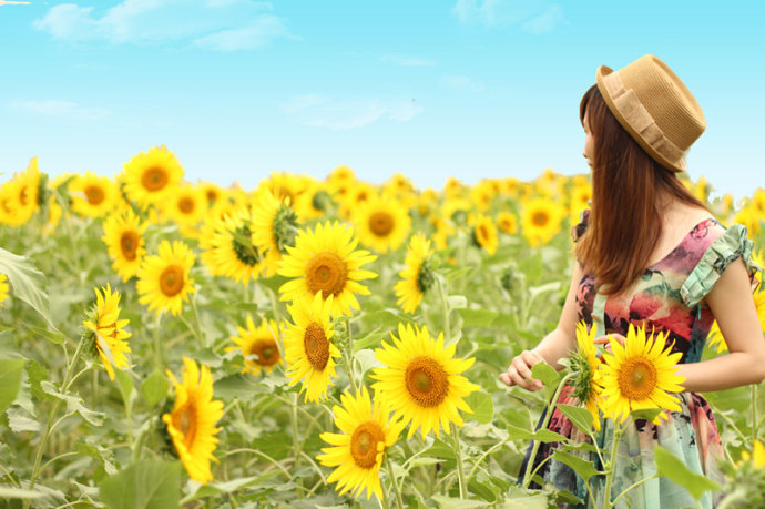 爸妈脾气不好，总吵架，要离婚，作为儿女该怎么办？