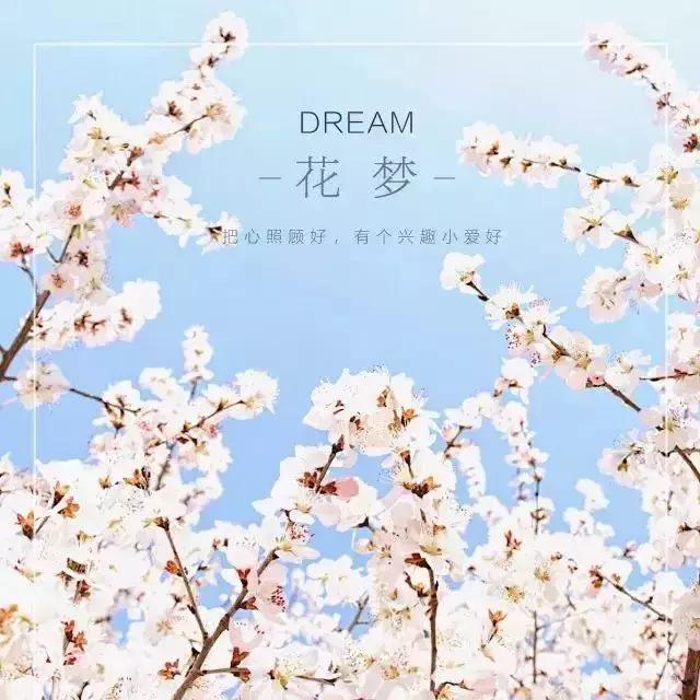 厦门奇怪的花店,厦门比较有名的绿植花店