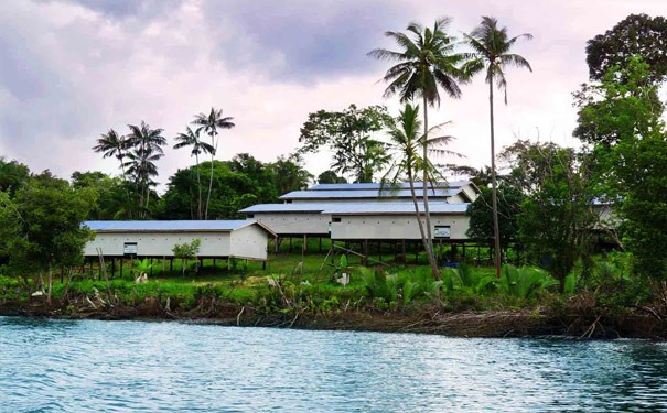 燕窝相关问答,燕窝科普栏目介绍