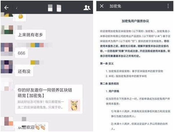 小米加密兔,小米加密兔app官网