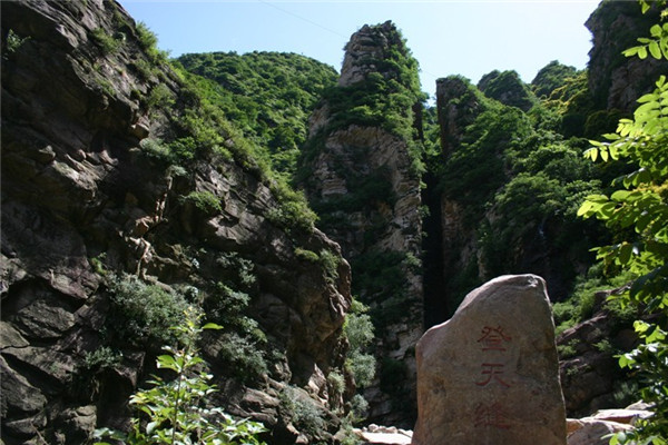 天津适合春游的公园,踏着欢快的脚步