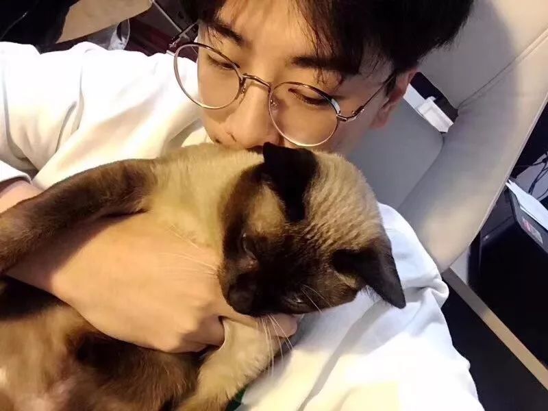 坎伯韦尔插画硕士,伦艺坎伯韦尔插画研究生就业前景