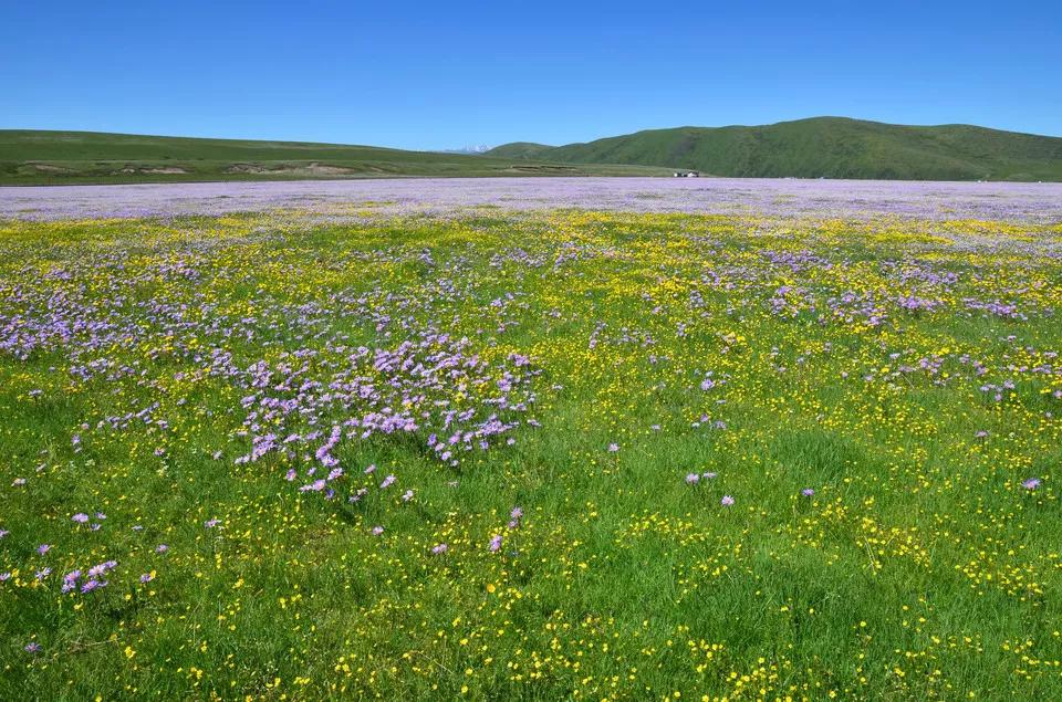 12月西藏最美旅行地排行,背包旅行西藏最美旅行时间表