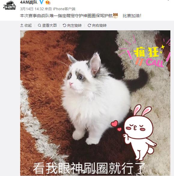 绝地求生周中赛为啥没有4am,绝地求生联赛4am最新阵容