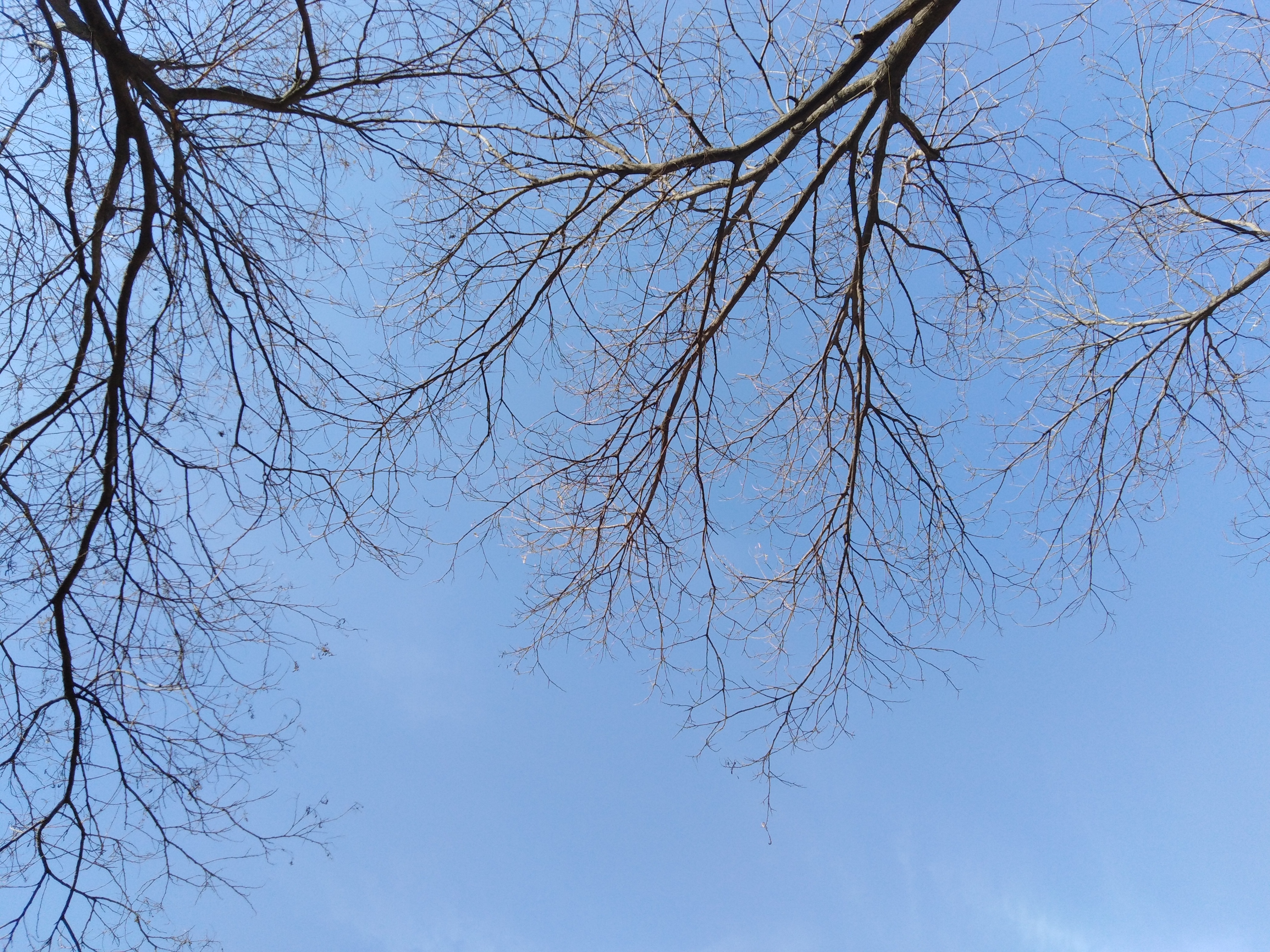 荣耀畅玩7c如何扩大内存,荣耀畅玩7c能玩王者荣耀吗