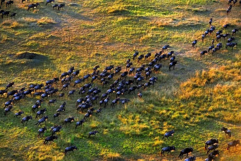 30种在地球“浪”的方式，做过10件，算你牛！