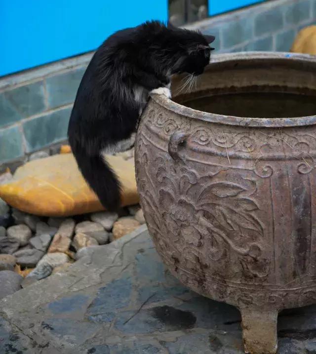 鐚眴妗堜欢,鐚眴鐩存挱琚墦浜嬩欢鍚庣画