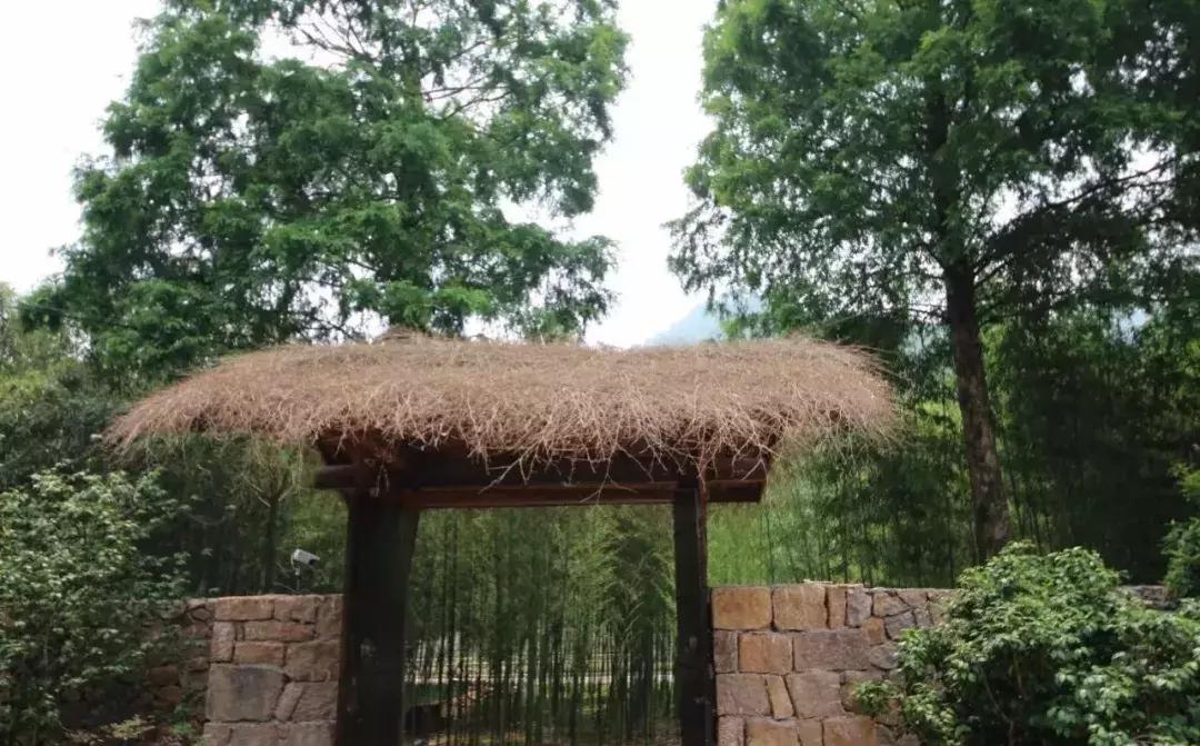 青春旅社的民宿多少钱,青春旅社是哪个民宿