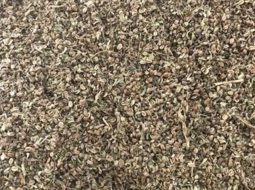 蛇床子价格一斤多少钱？如何种植？怎么吃？有哪些功效及作用？