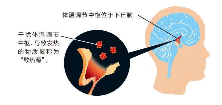 小孩发烧39度反复发烧怎么办,发烧六天了还是持续发烧怎么办